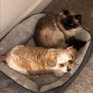 Meet your Posher, Laura